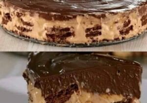 Creamy Dessert Ice Cake: It’ll Surprise Your Palate