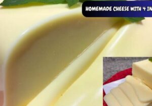 How to Make Homemade cheese with 4 ingredients