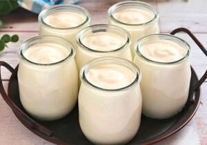 Homemade yogurt with 2 ingredients