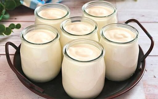 Homemade yogurt with 2 ingredients