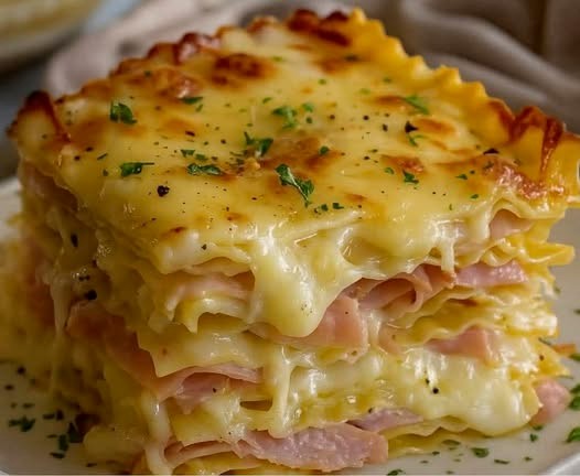 Lasagna with Ham and Cheese
